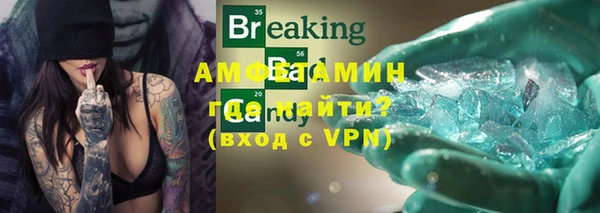 шишки Абаза