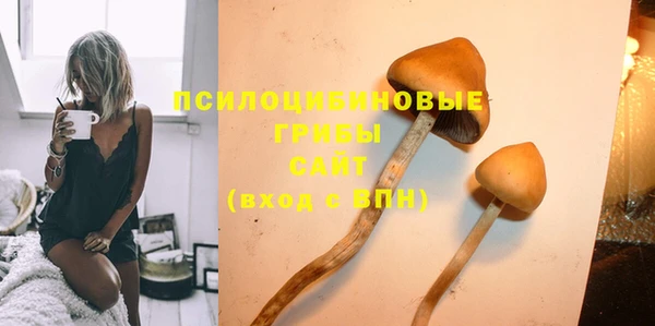 не бодяженный Абдулино