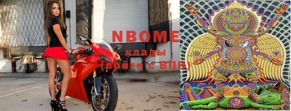 шишки Абаза