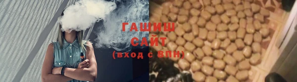шишки Абаза