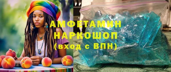 шишки Абаза