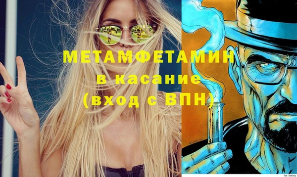 шишки Абаза
