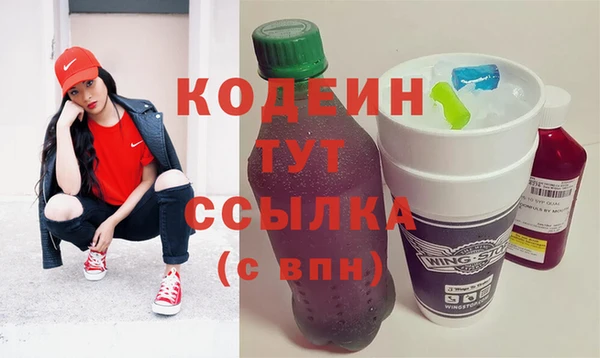 шишки Абаза